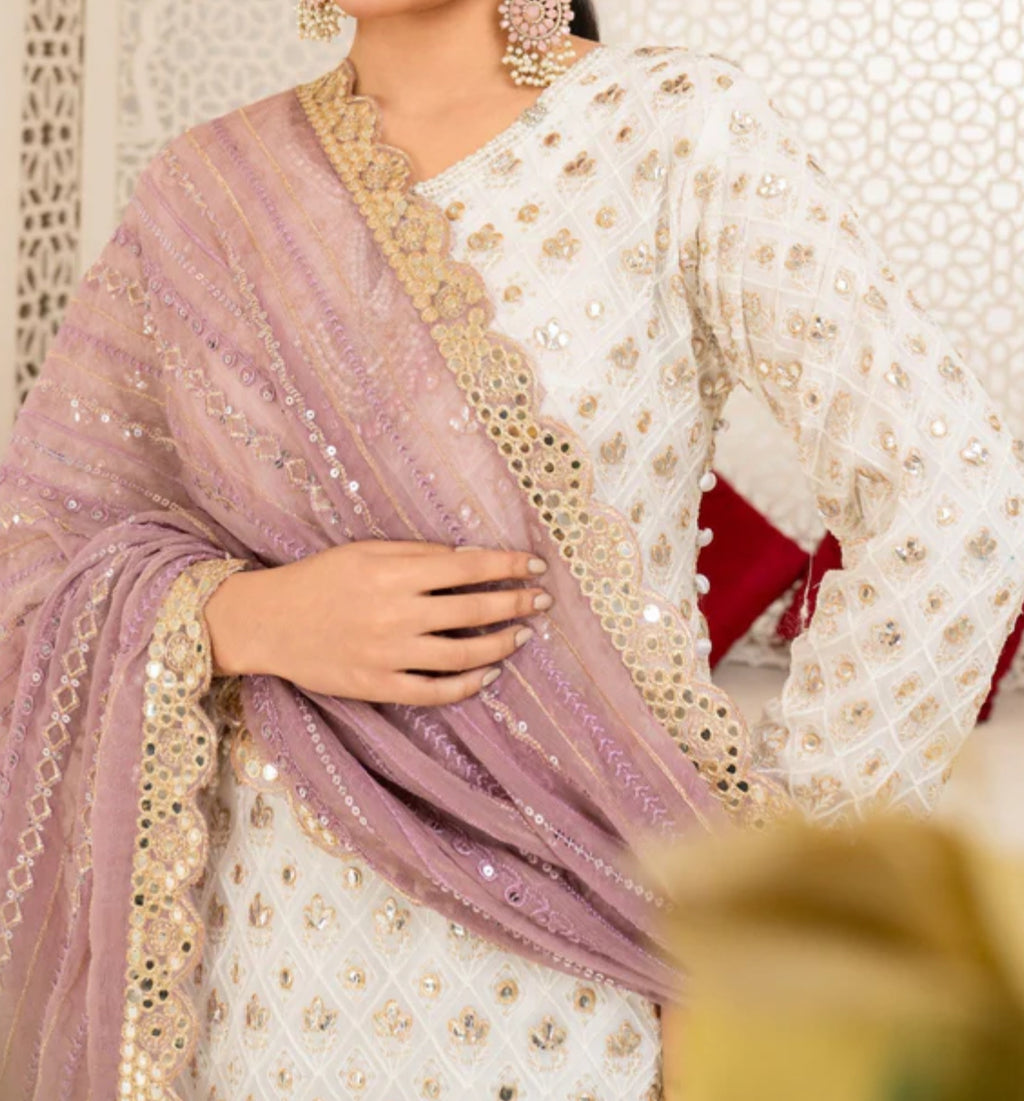 Elegant Ivory Embroidered Foil work Salwar Kameez Set