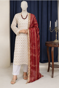 Elegant Ivory Embroidered Foil work Salwar Kameez Set